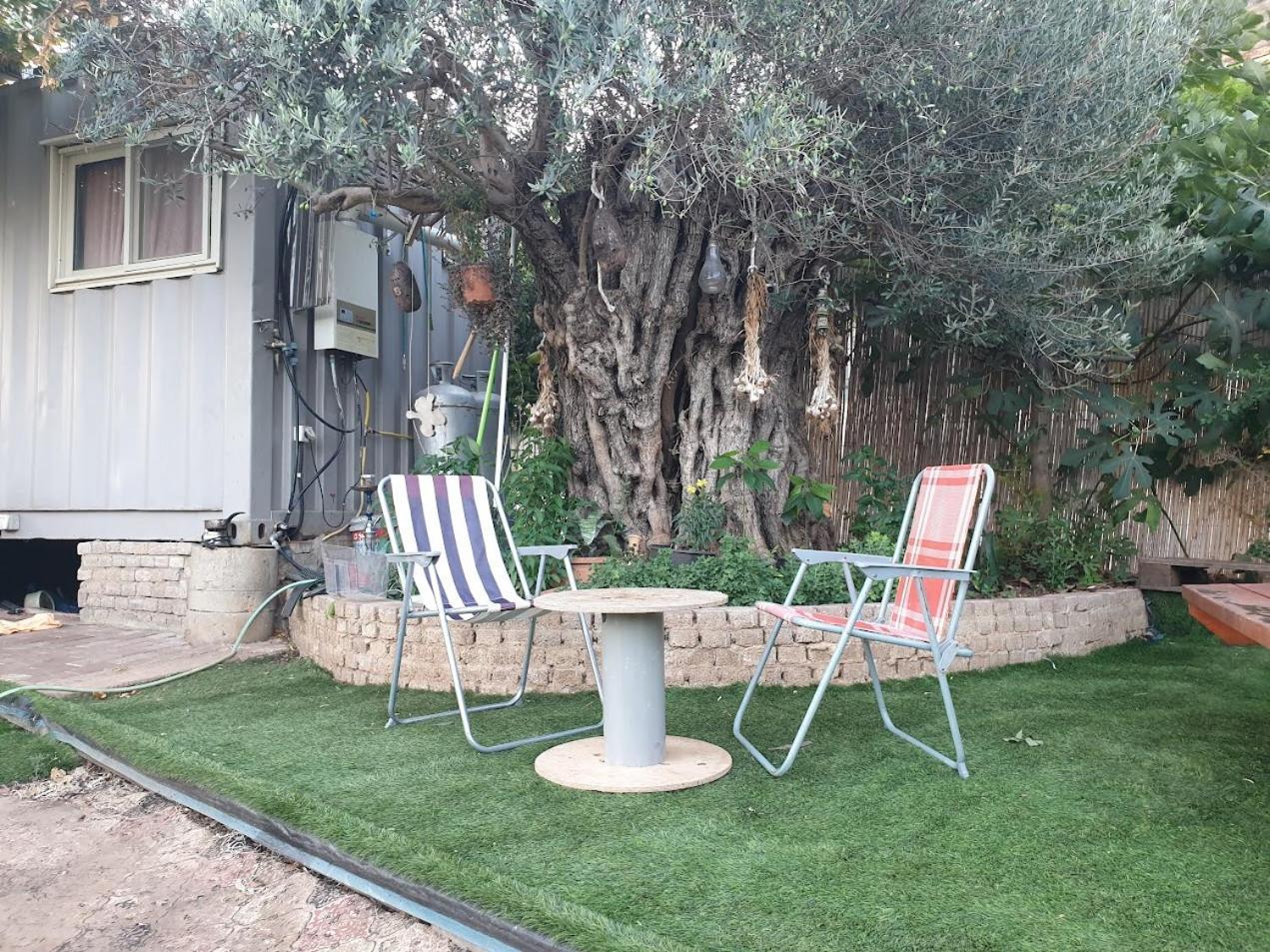 Olive Tiny House 2 Campsite Tuval