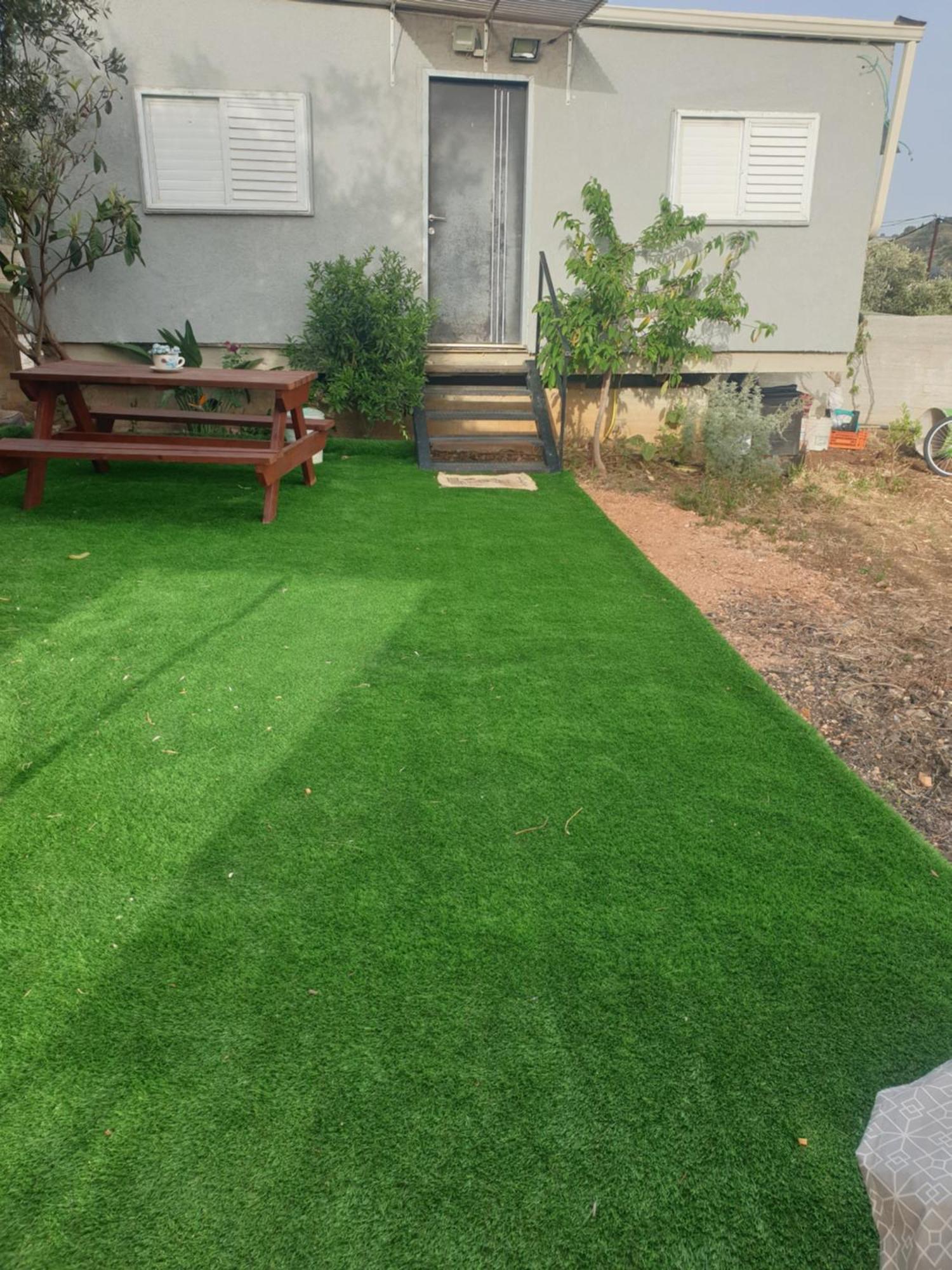 Olive Tiny House 2 * Tuval
